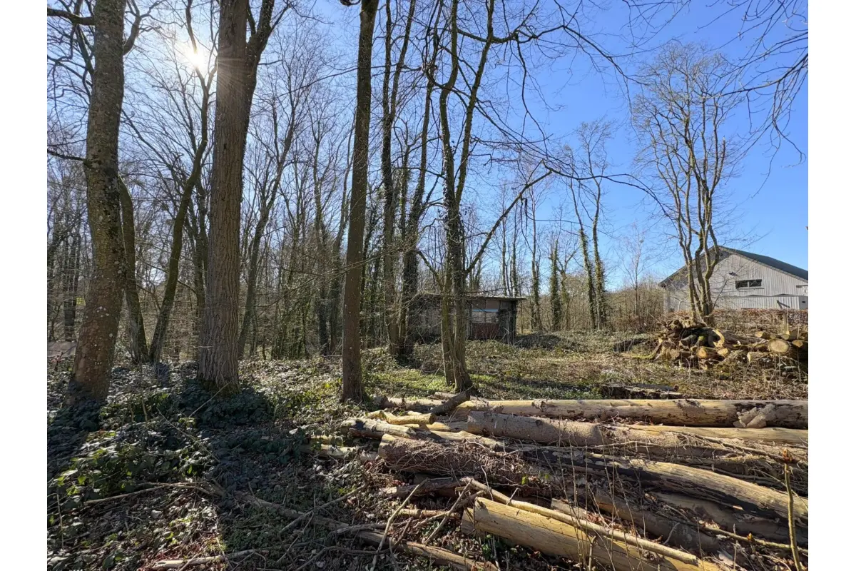 Terrain à vendre à Beaumont 6500 75000.00€  chambres m² - annonce 446984