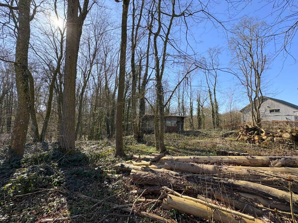 Terrain à vendre à Beaumont 6500 75000.00€ chambres m² - annonce 446984