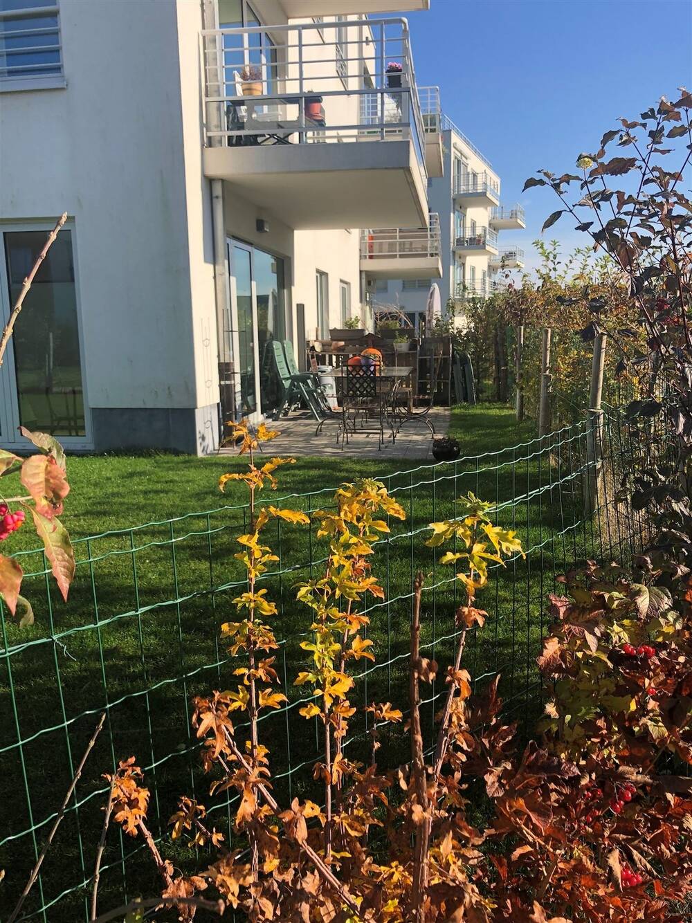Maison à louer à Ath 7800 1000.00€ 2 chambres 65.00m² - annonce 448441