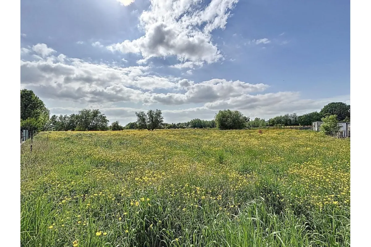 Terrain à vendre à Chièvres 7950 190000.00€  chambres m² - annonce 467466