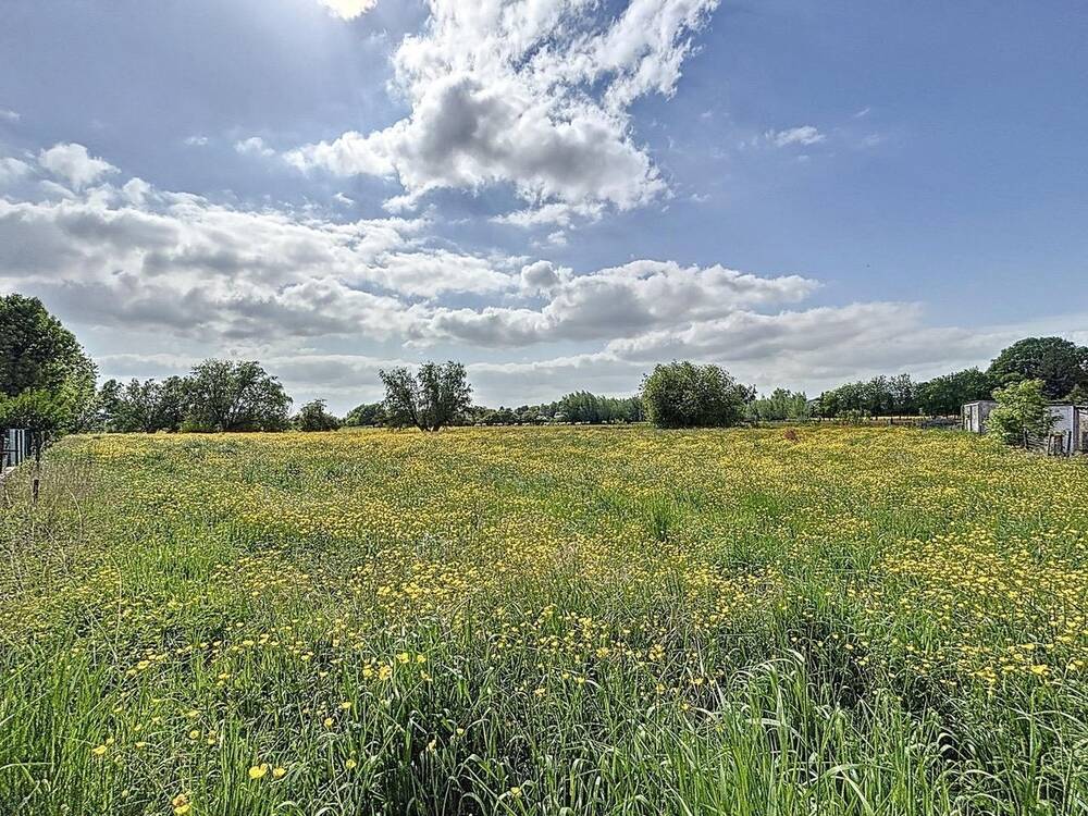 Terrain à vendre à Chièvres 7950 190000.00€ chambres m² - annonce 467466