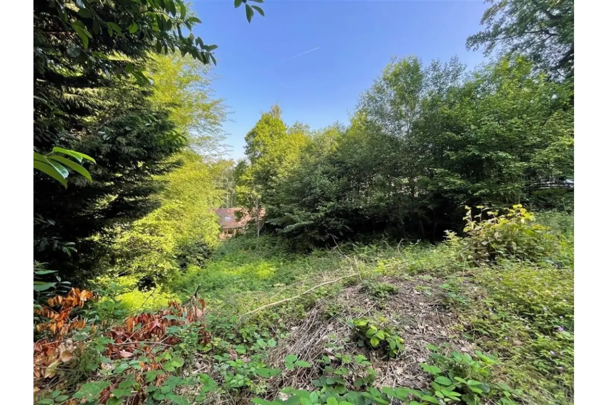 Terrain à vendre à Hennuyères 7090 150000.00€  chambres m² - annonce 473588