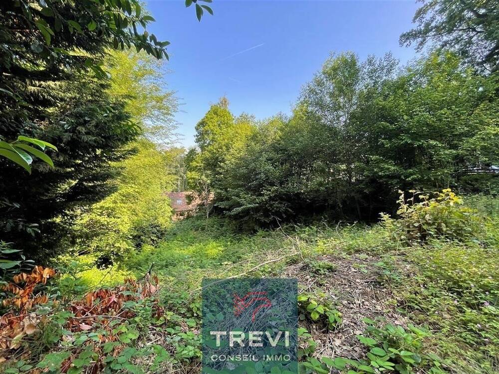 Terrain à vendre à Hennuyères 7090 150000.00€ chambres m² - annonce 473588
