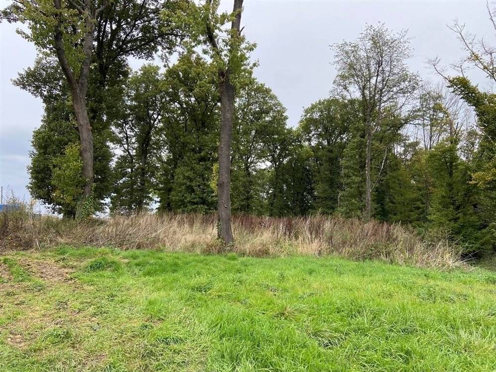 Terrain à vendre à Bouffioulx 6200 125000.00€ chambres m² - annonce 473198