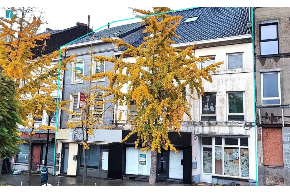 Immeuble mixte à vendre à Gosselies 6041 590000.00€ 6 chambres m² - annonce 472262