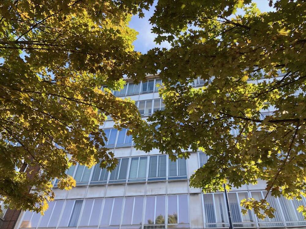 Appartement à vendre à Charleroi 6000 210000.00€ 2 chambres 150.00m² - annonce 477268