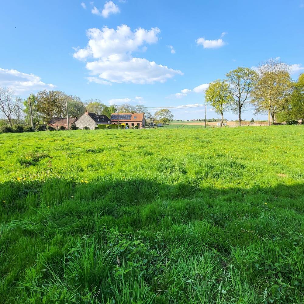 Terrain à vendre à Ormeignies 7802 130000.00€ chambres m² - annonce 477425