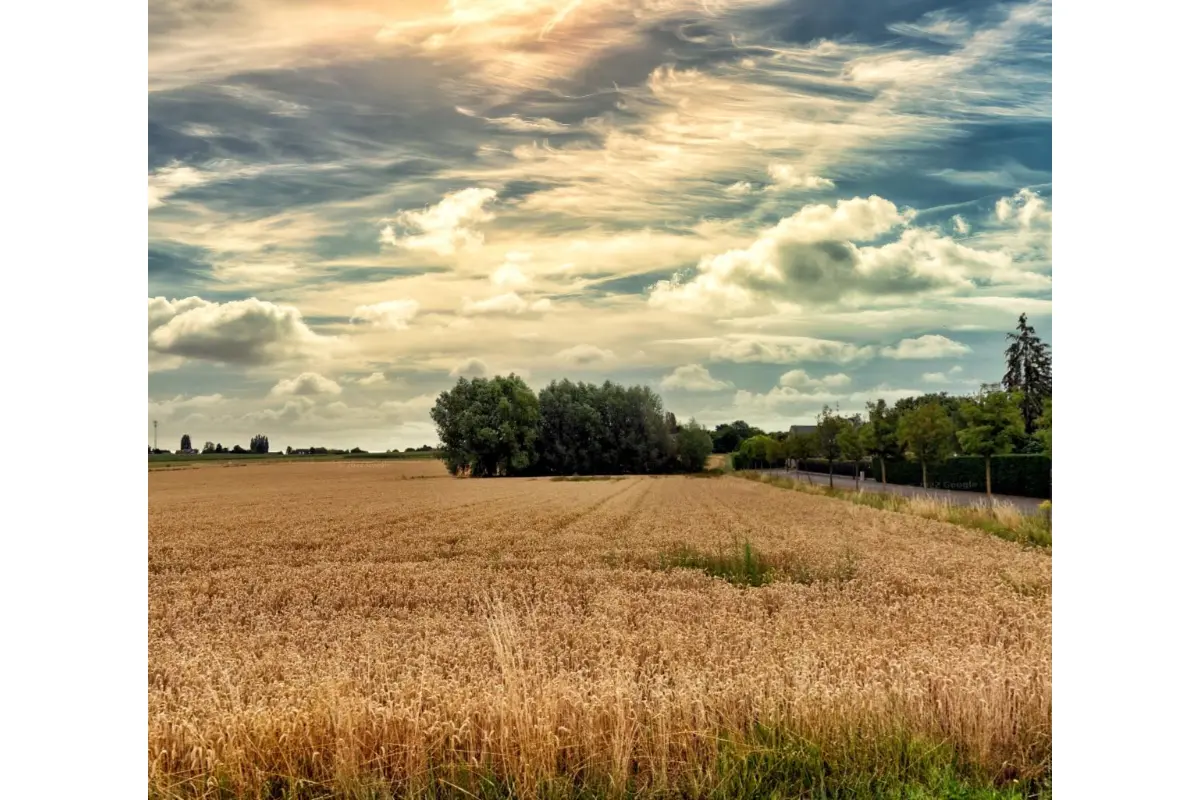 Terrain à bâtir à vendre à Eugies 7080 130000.00€  chambres m² - annonce 481804