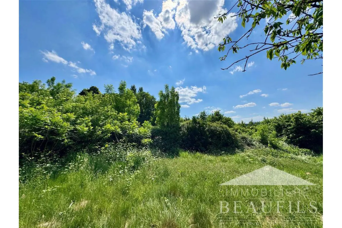 Terrain à vendre à Carnières 7141 100000.00€  chambres m² - annonce 481558