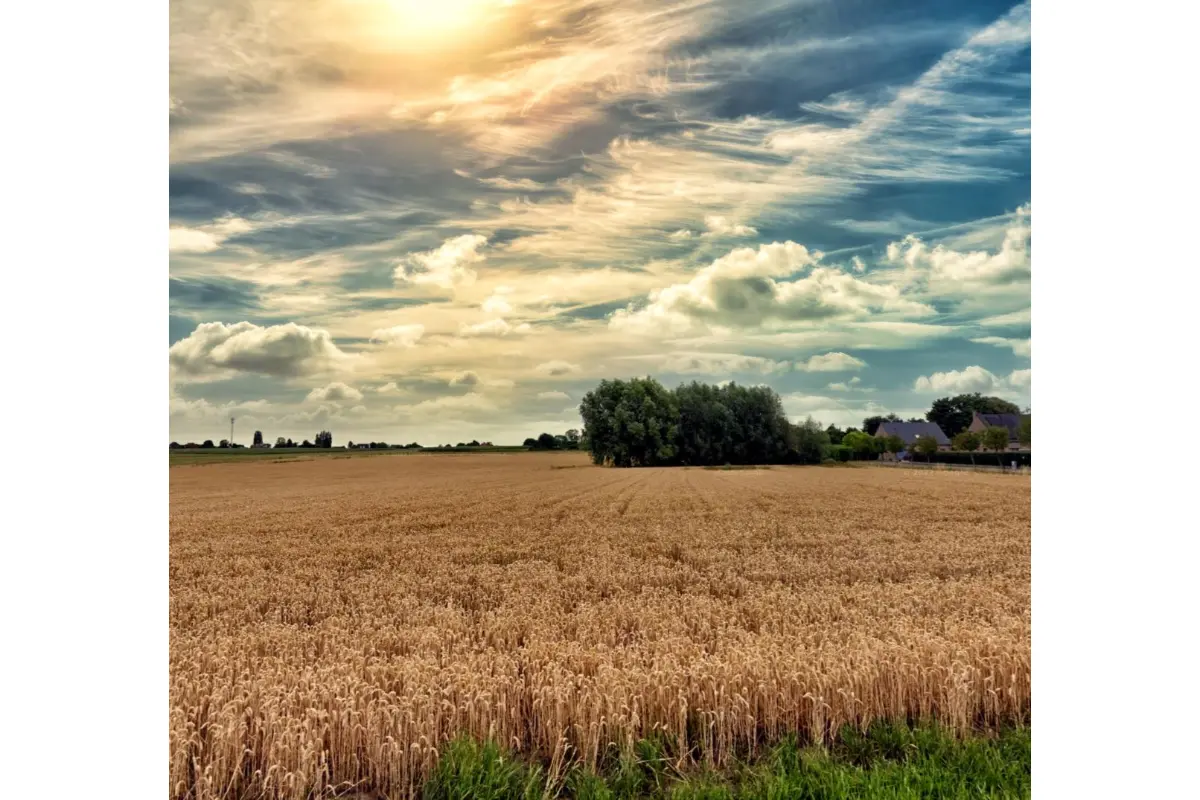 Terrain à vendre à Eugies 7080 100000.00€  chambres m² - annonce 606252