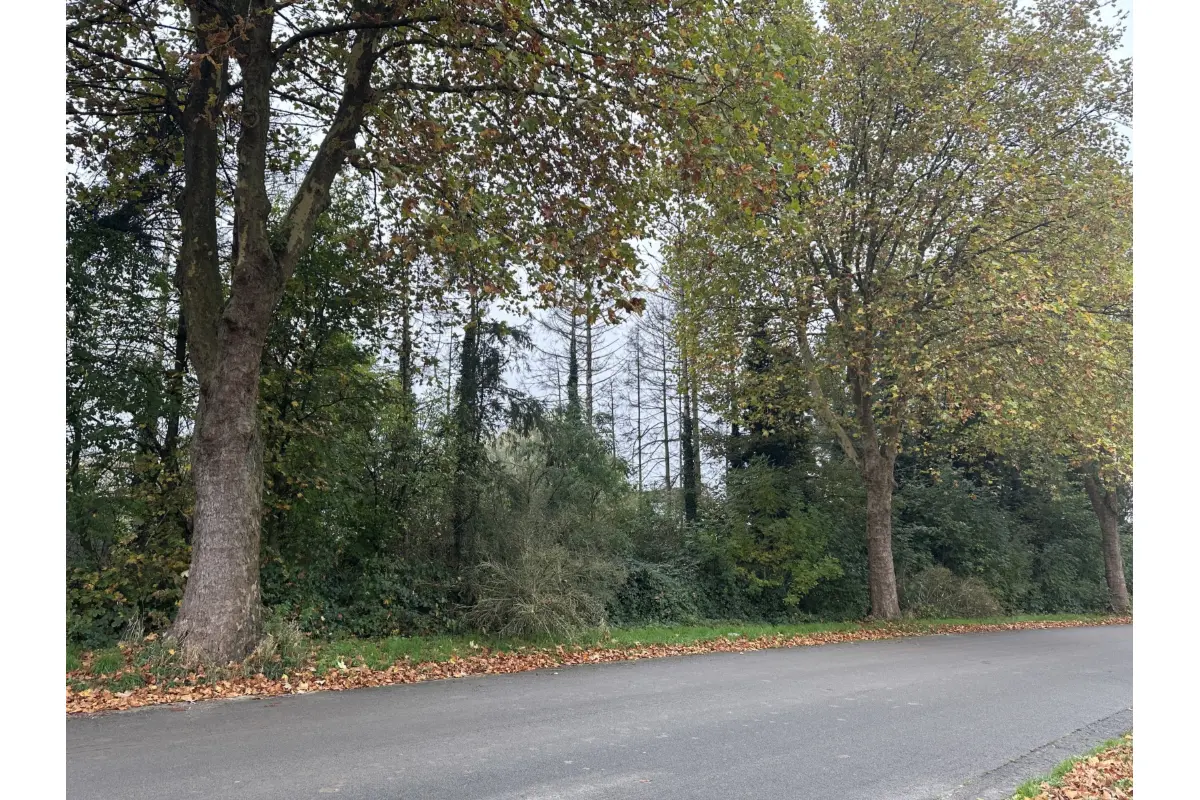 Terrain à vendre à Roucourt 7601 45000.00€  chambres m² - annonce 543807