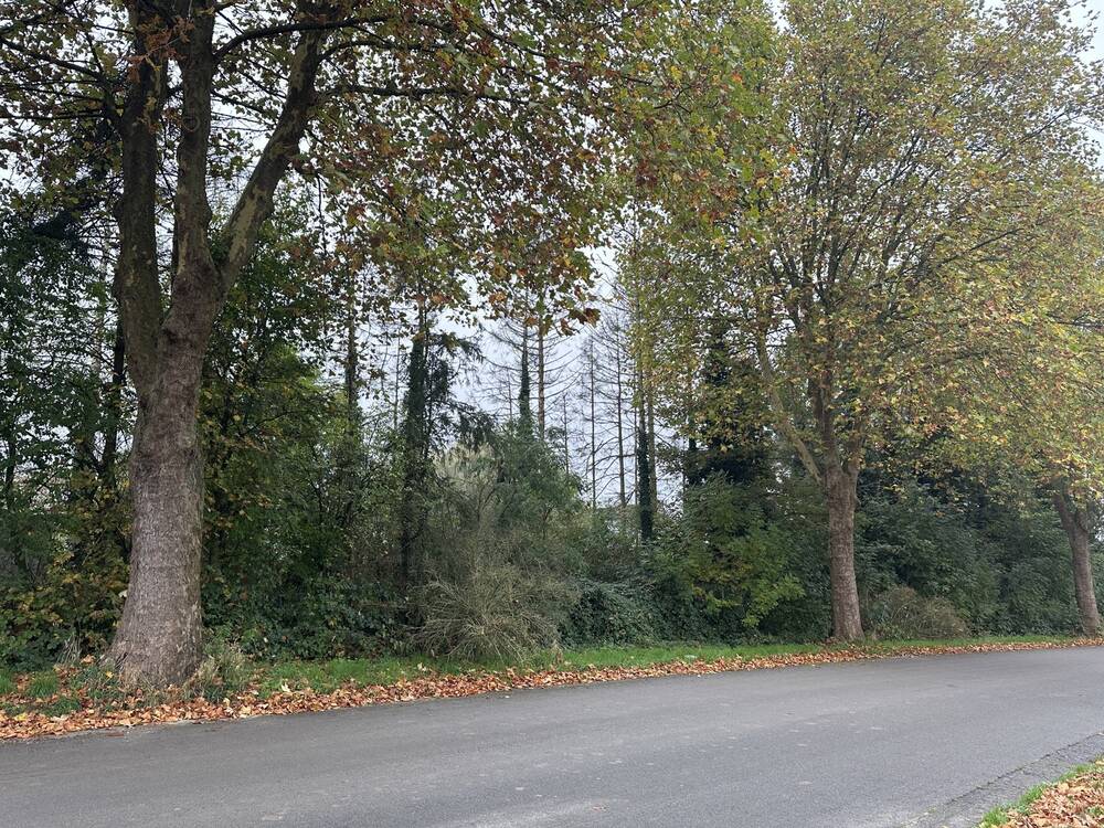 Terrain à à Roucourt 7601 45000.00€ chambres m² - annonce 487487