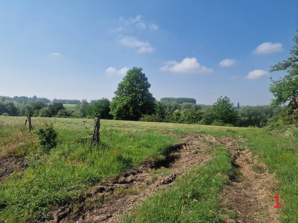 Terrain à vendre à Ogy 7862 59000.00€ chambres m² - annonce 490176