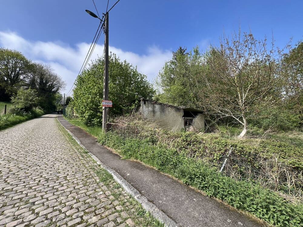 Terrain à vendre à Souvret 6182 30000.00€ chambres m² - annonce 489481