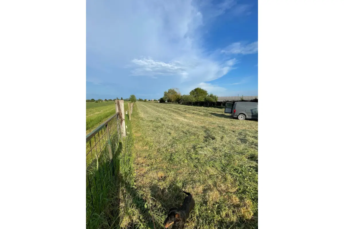 Terrain à vendre à Warchin 7548 60000.00€  chambres m² - annonce 489851