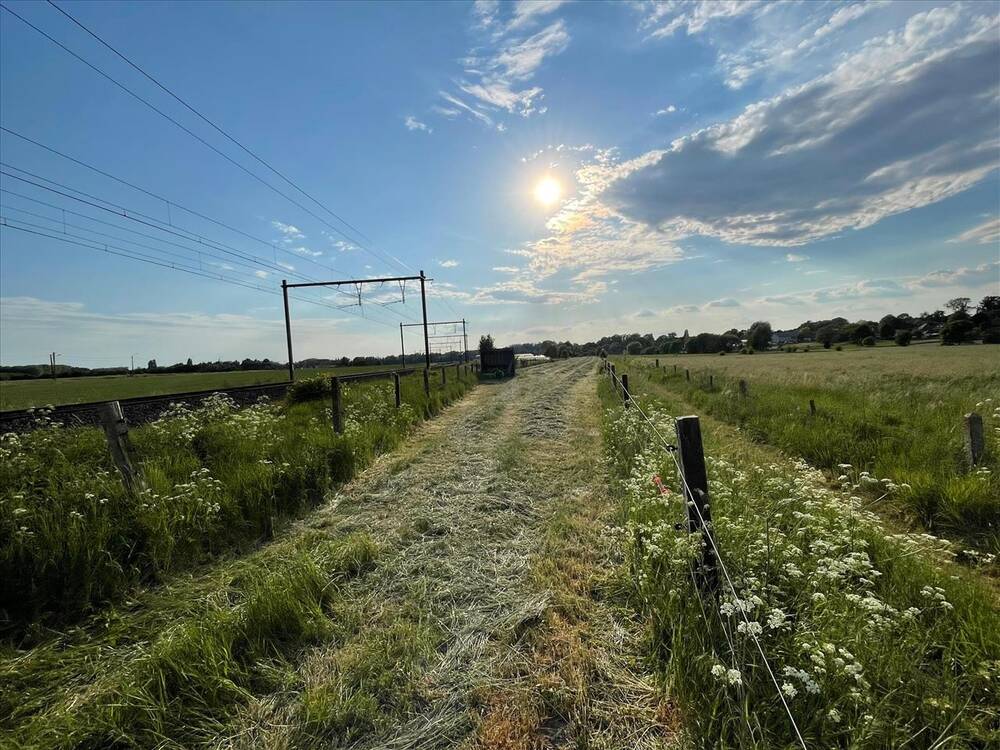 Terrain à vendre à Warchin 7548 80000.00€ chambres m² - annonce 489851