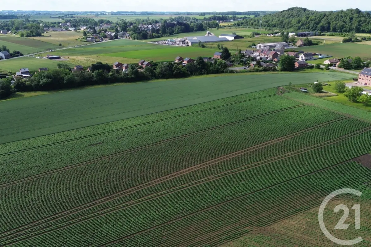Terrain à vendre à Frameries 7080 820000.00€  chambres m² - annonce 501442