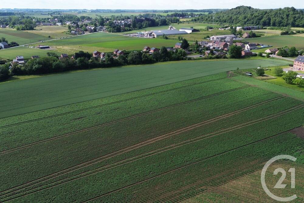 Terrain à vendre à Frameries 7080 820000.00€ chambres m² - annonce 501442