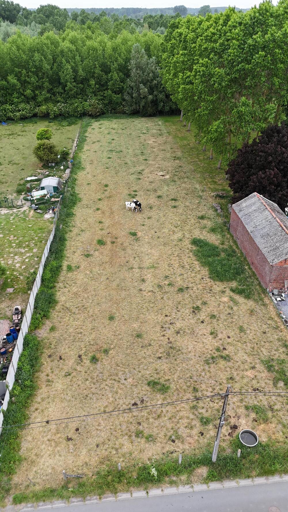 Terrain à vendre à Wiers 7608 105000.00€ chambres m² - annonce 500460