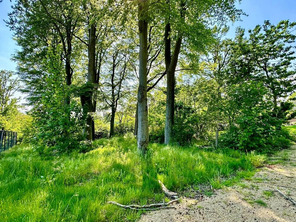 Terrain à vendre à Orroir 7750 149500.00€ chambres m² - annonce 499603