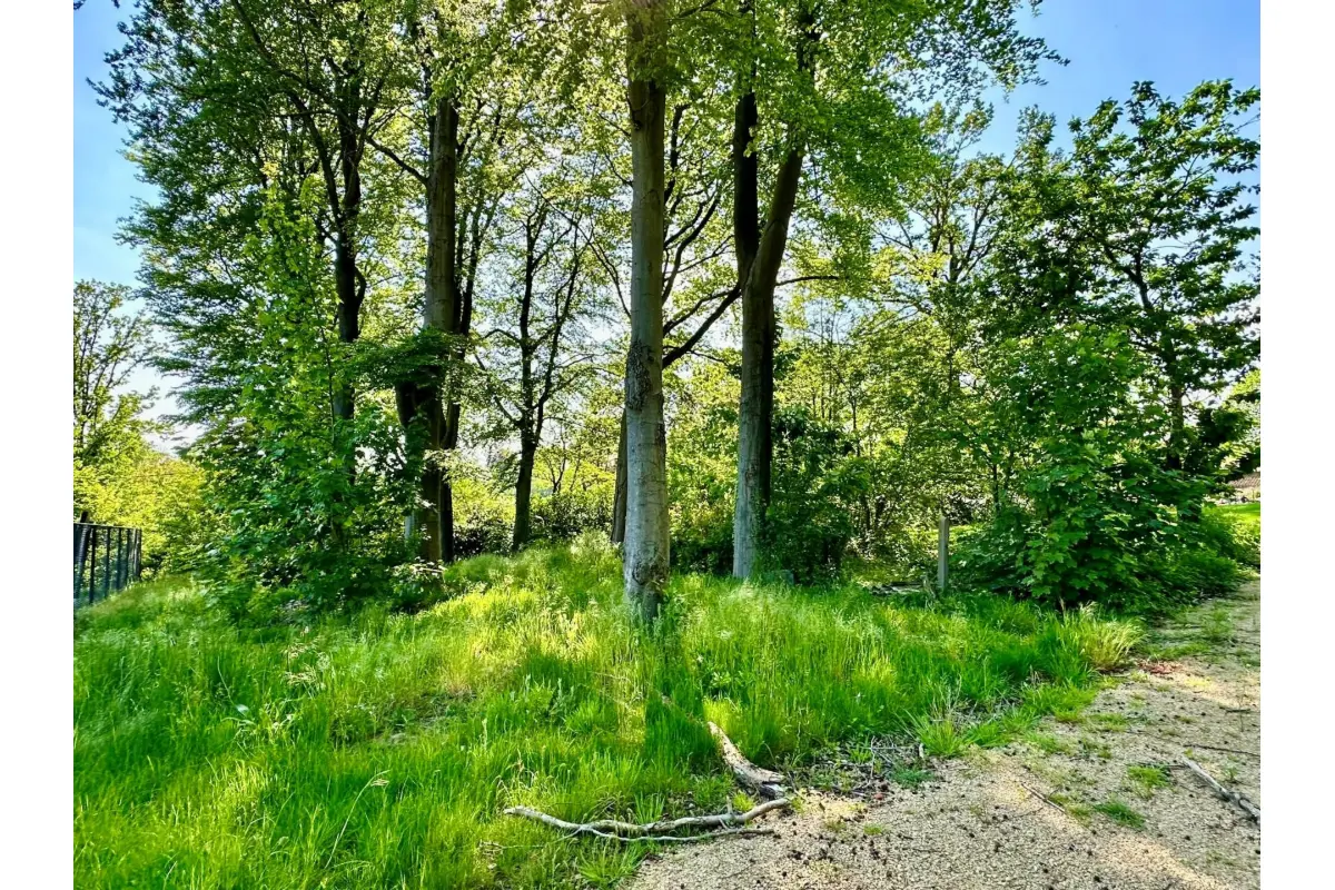 Terrain à vendre à Orroir 7750 149500.00€  chambres m² - annonce 499603