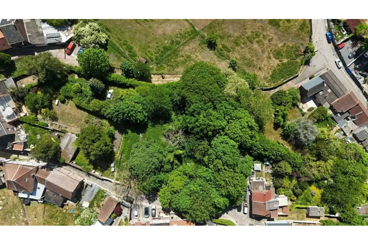 Terrain à vendre à Paturages 7340 100000.00€  chambres m² - annonce 497636