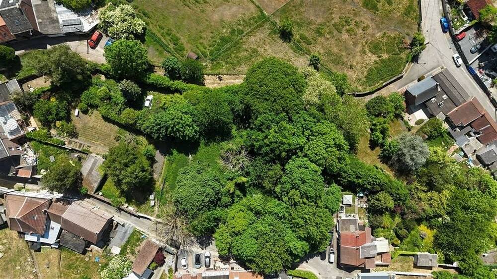 Terrain à vendre à Paturages 7340 100000.00€ chambres m² - annonce 497636