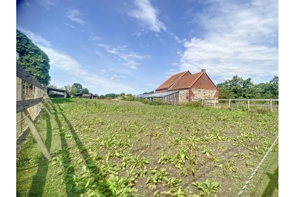 Terrain à vendre à Thirimont 6500 47500.00€  chambres m² - annonce 496798