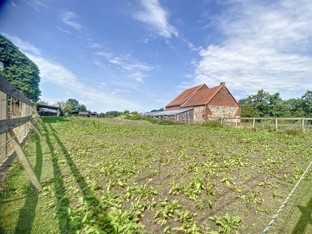 Terrain à vendre à Thirimont 6500 47500.00€ chambres m² - annonce 496798