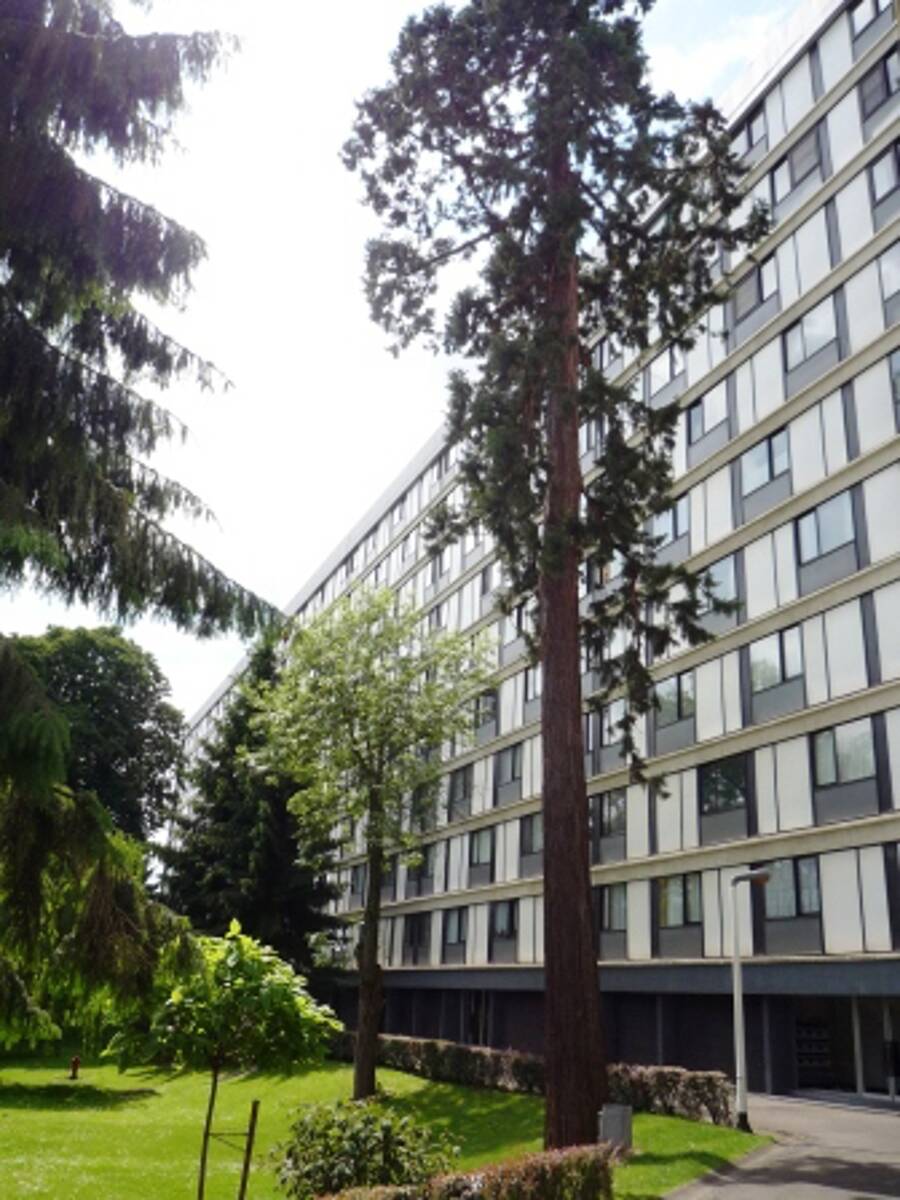 Appartement à vendre à Cuesmes 7033 120000.00€ 2 chambres 115.00m² - annonce 497094