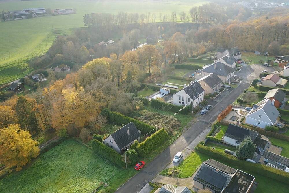 Terrain à à Yves-Gomezée 5650 64000.00€ chambres m² - annonce 496013