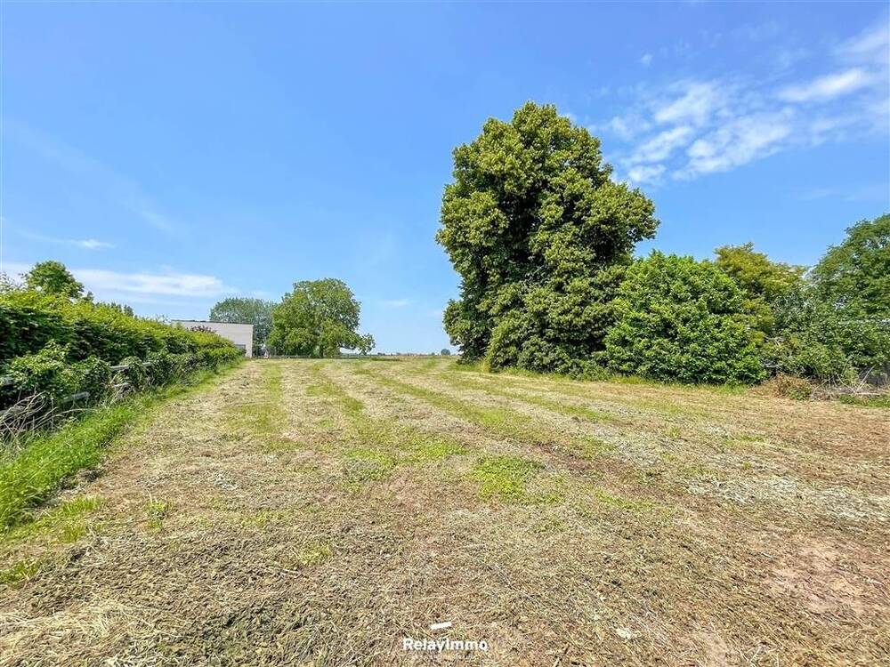 Terrain à vendre à Mourcourt 7543 119000.00€  chambres m² - annonce 511869