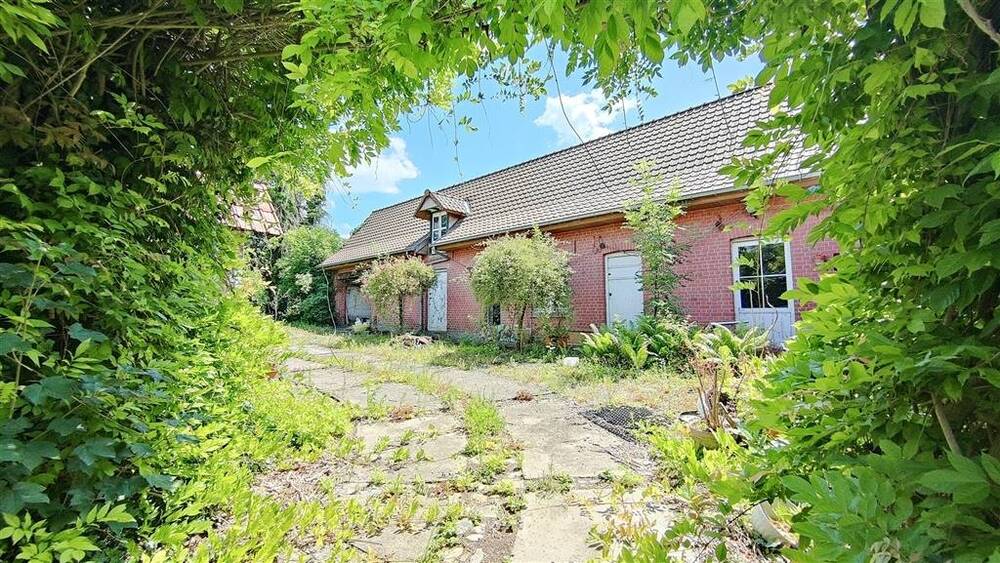 Commerce à vendre à Lamain 7522 225000.00€ 4 chambres m² - annonce 512343