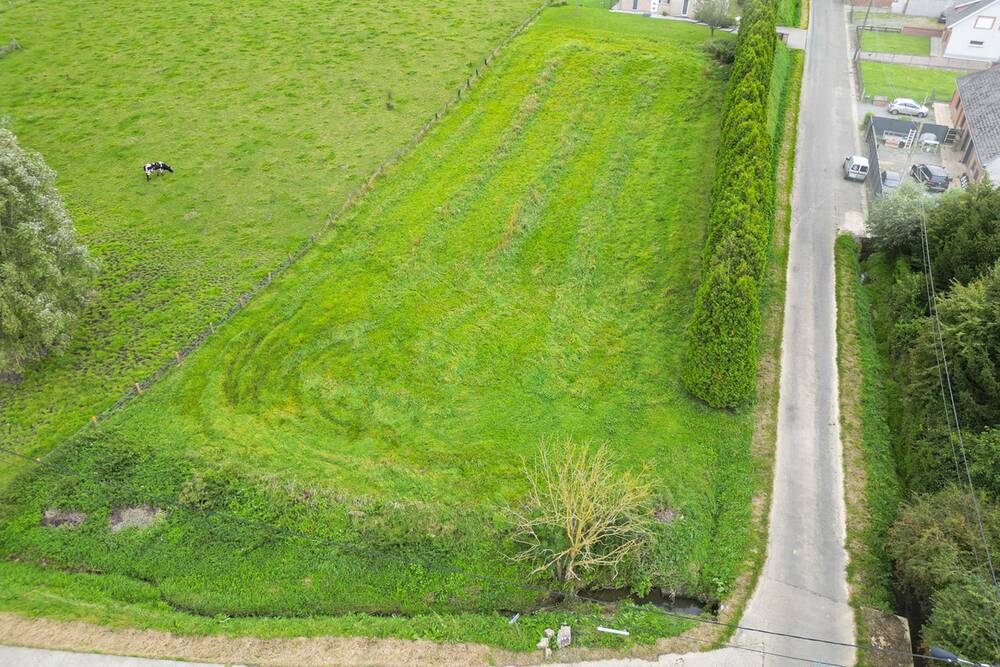 Terrain à vendre à Lessines 7860 149000.00€  chambres m² - annonce 513210