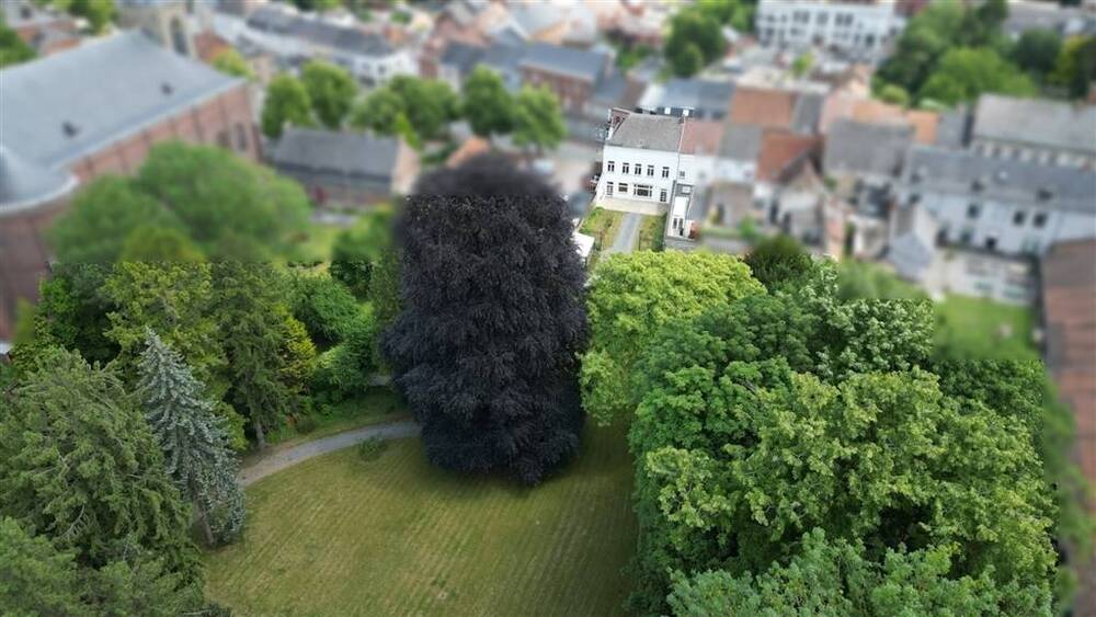 Maison à vendre à Péruwelz 7600 350000.00€ 4 chambres 412.00m² - annonce 515396