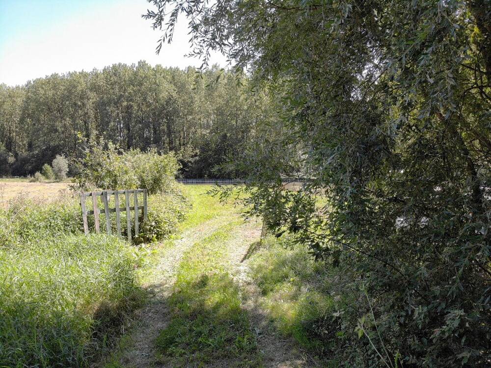 Terrain à à Halle 1500 120000.00€ chambres m² - annonce 520240