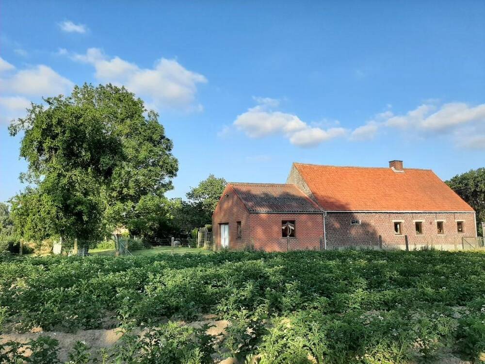 Maison à vendre à Ellezelles 7890 157500.00€ 3 chambres m² - annonce 521825