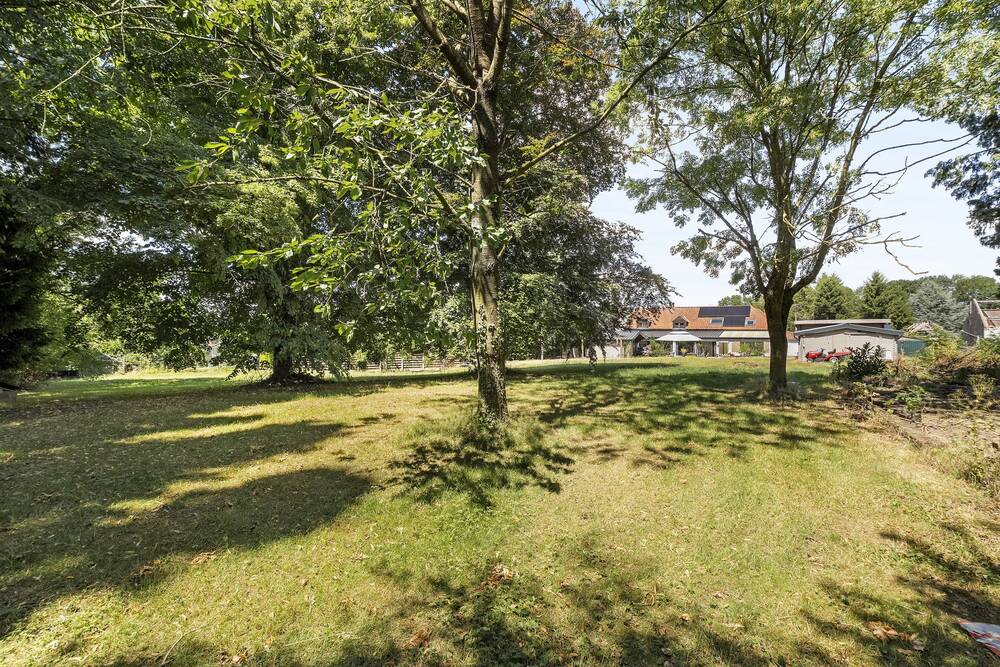 Maison à vendre à Ellezelles 7890 475000.00€ 5 chambres 268.00m² - annonce 523881
