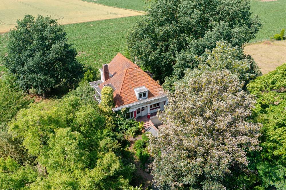 Maison à vendre à Mont-de-l'Enclus 7750 390000.00€ 3 chambres 240.00m² - annonce 524409
