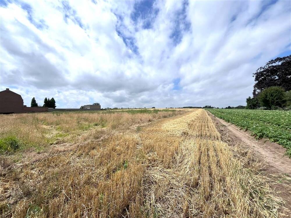 Terrain à vendre à Irchonwelz 7801 109000.00€  chambres m² - annonce 527298