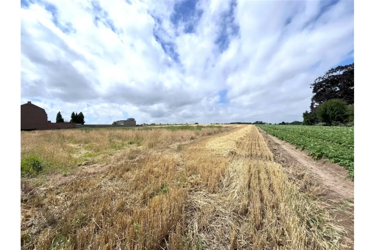 Terrain à bâtir à vendre à Irchonwelz 7801 109000.00€  chambres m² - annonce 527296