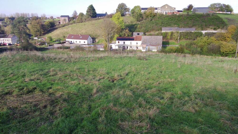 Terrain à vendre à Froidchapelle 6440 75000.00€  chambres m² - annonce 529201