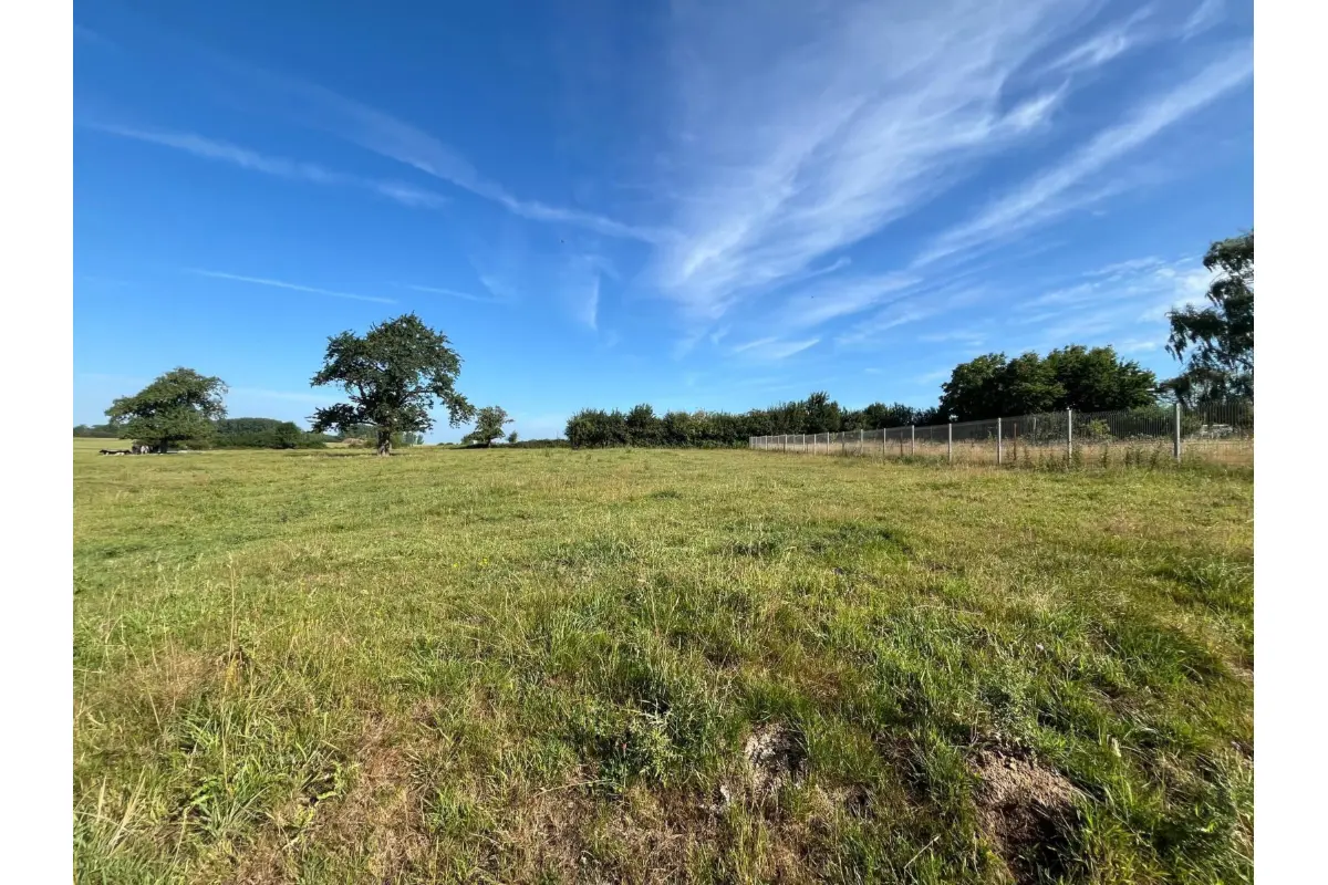 Terrain à vendre à Autreppe 7387 45000.00€  chambres m² - annonce 757873