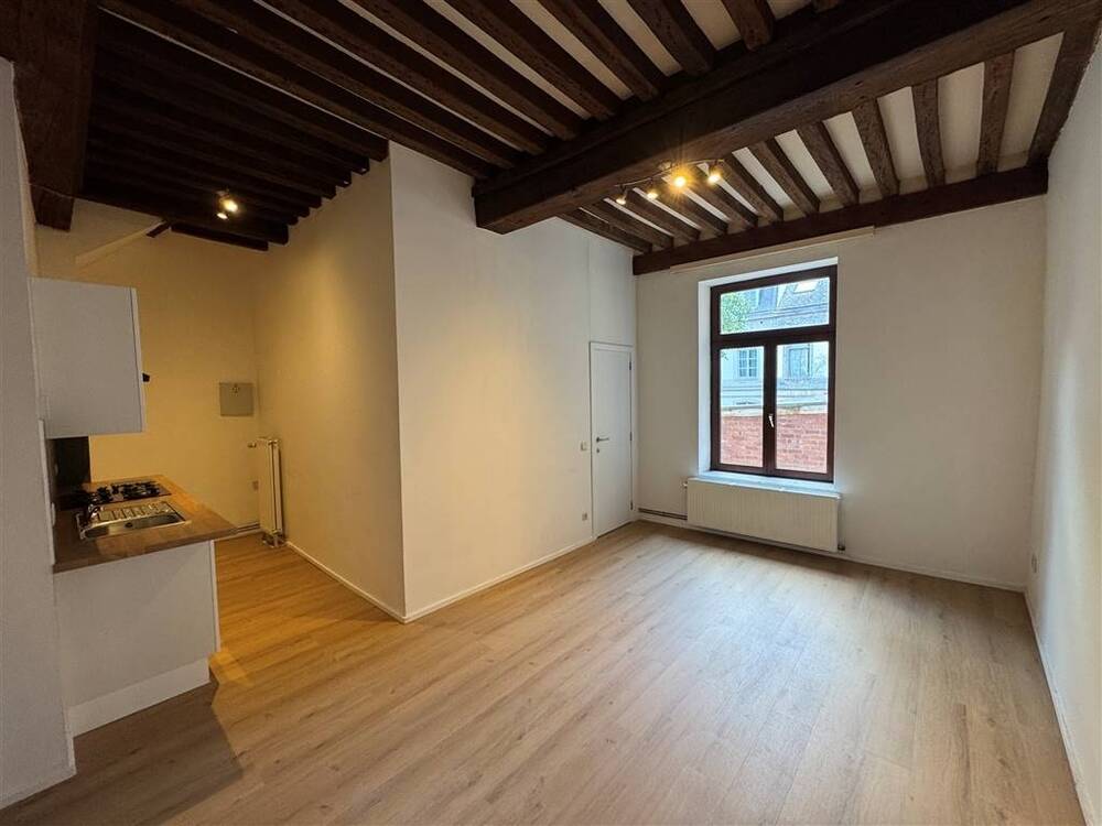 Appartement à à Mons 7000 600.00€ 1 chambres 37.00m² - annonce 529965