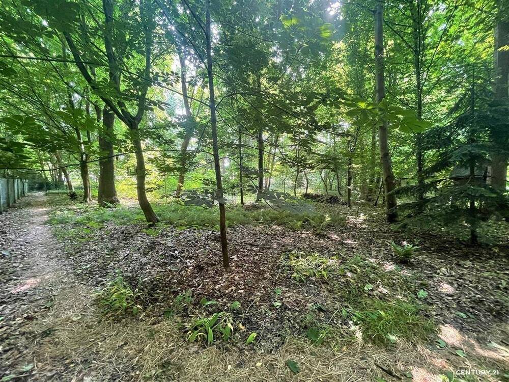 Maison à vendre à Enghien 7850 1200000.00€ 4 chambres 258.00m² - annonce 530967