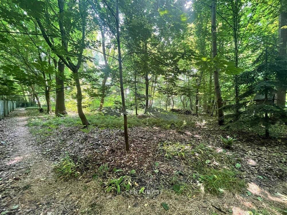 Maison à vendre à Enghien 7850 1200000.00€ 4 chambres 258.00m² - annonce 530967