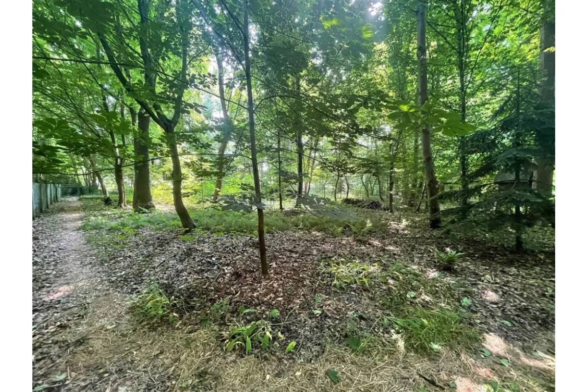 Maison à vendre à Enghien 7850 1200000.00€ 4 chambres 258.00m² - annonce 530967