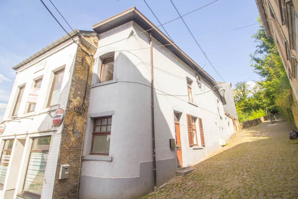 Maison à vendre à Thuin 6530 75000.00€ 3 chambres 100.00m² - annonce 535828