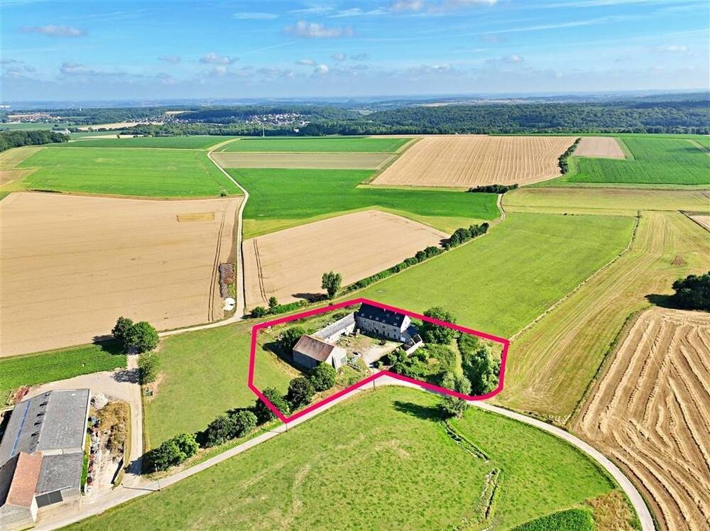 Commerce à vendre à Acoz 6280 799000.00€ 10 chambres m² - annonce 537538