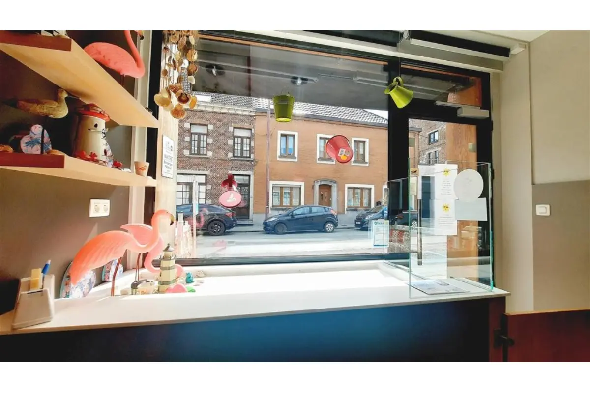 Commerce à vendre à Leuze-en-Hainaut 7900 250000.00€ 3 chambres m² - annonce 537998